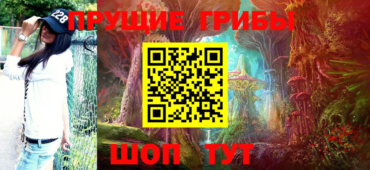 наркота  Псилоцибиновые грибы мицелий  Вход с VPN  Серов 