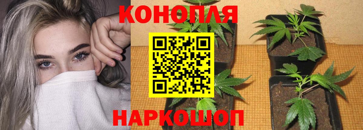 Конопля марихуана  Вход с VPN  Марихуана LSD WEED  Серов  Каннабис семена  Каннабис White Widow 